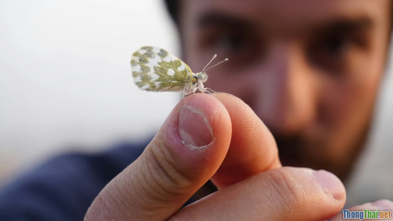 achievement, emotion, celebration