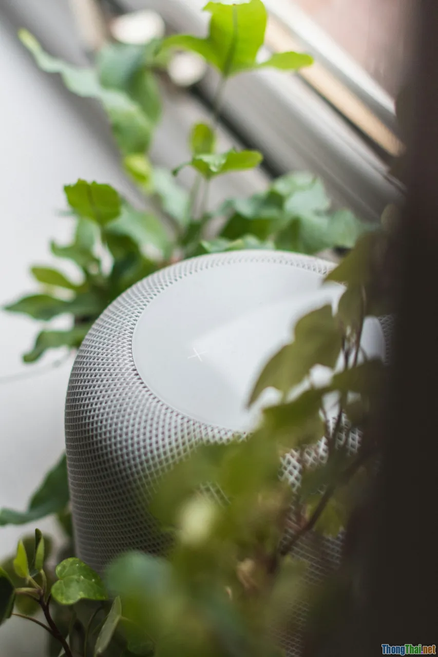 air purifier, green materials