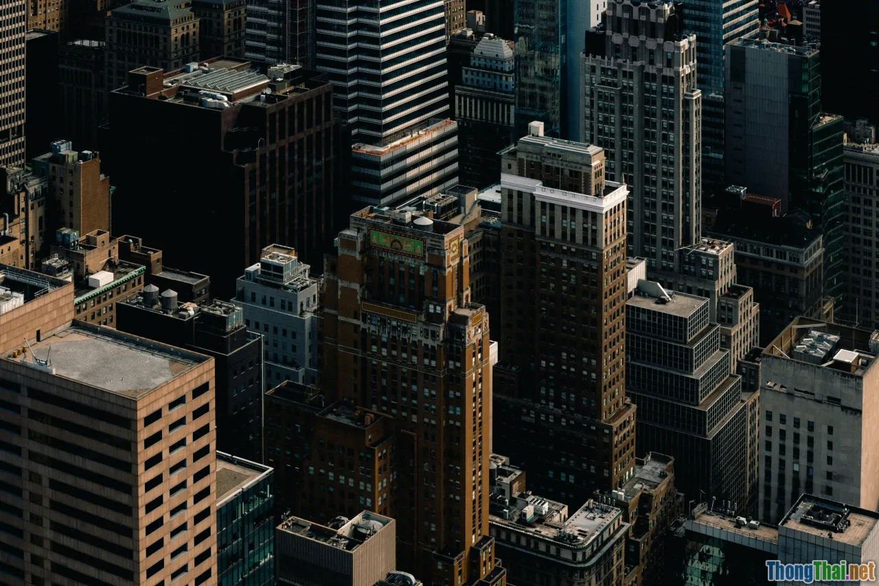 asset allocation, wealth management