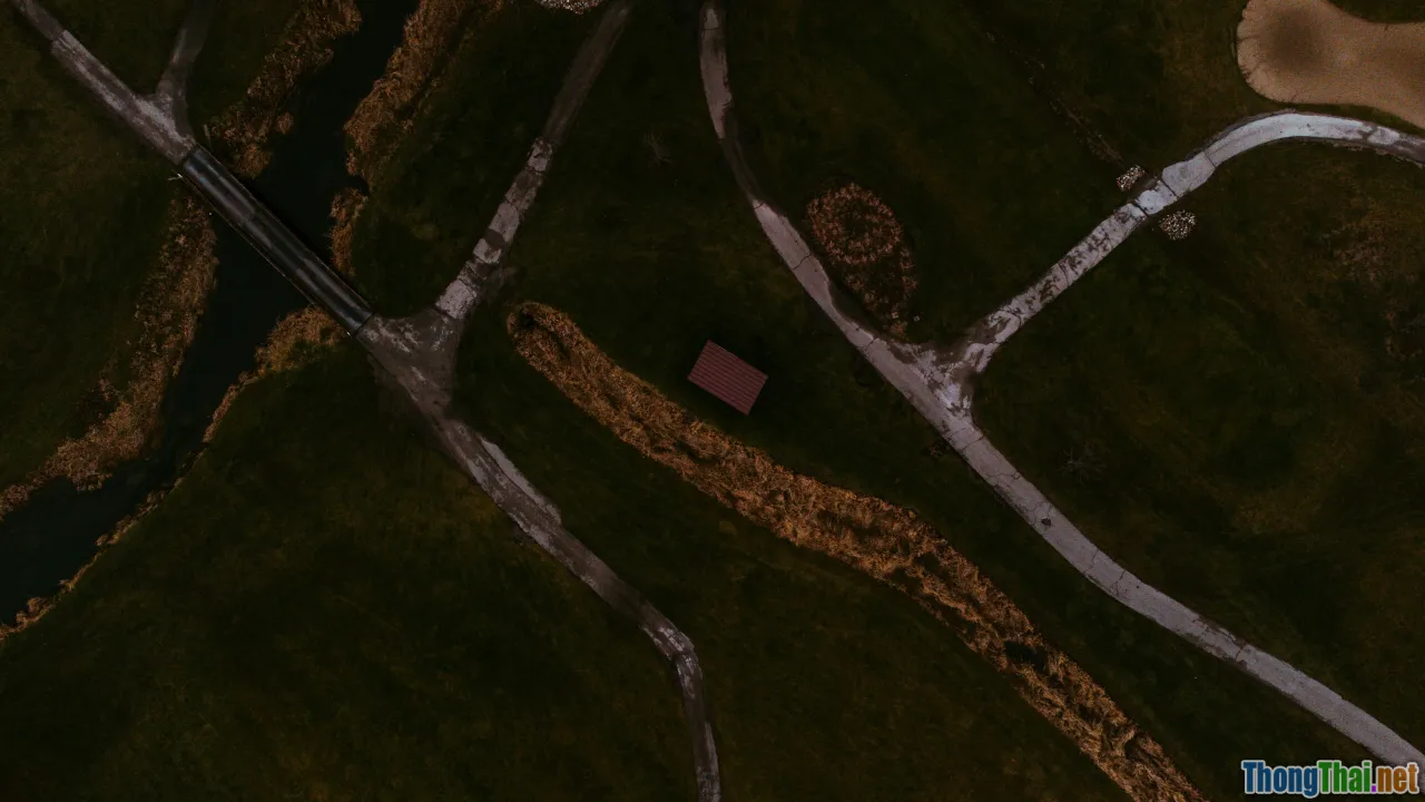 auditd, dmesg, ETW, telemetry map