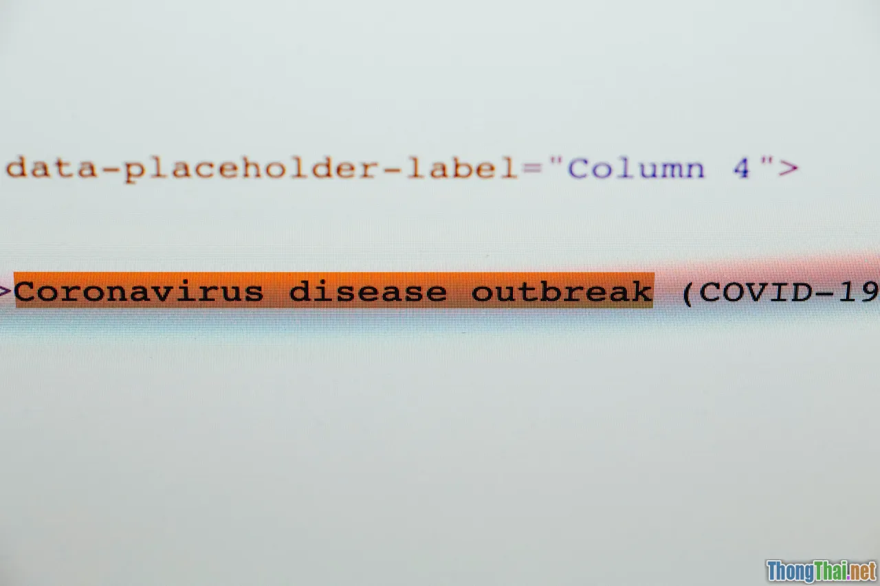 backup, code access, team management