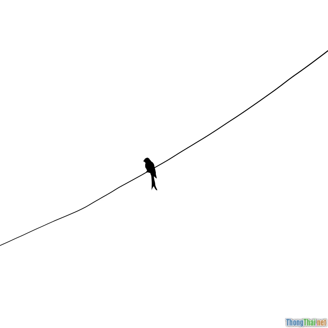 balancing_scale, stress, tightrope