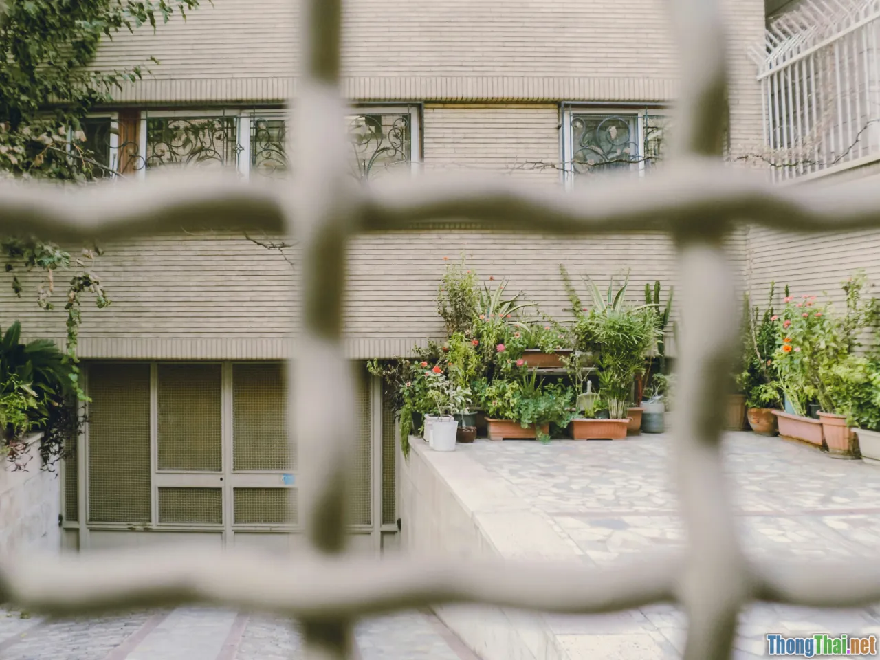 balcony garden, safety net