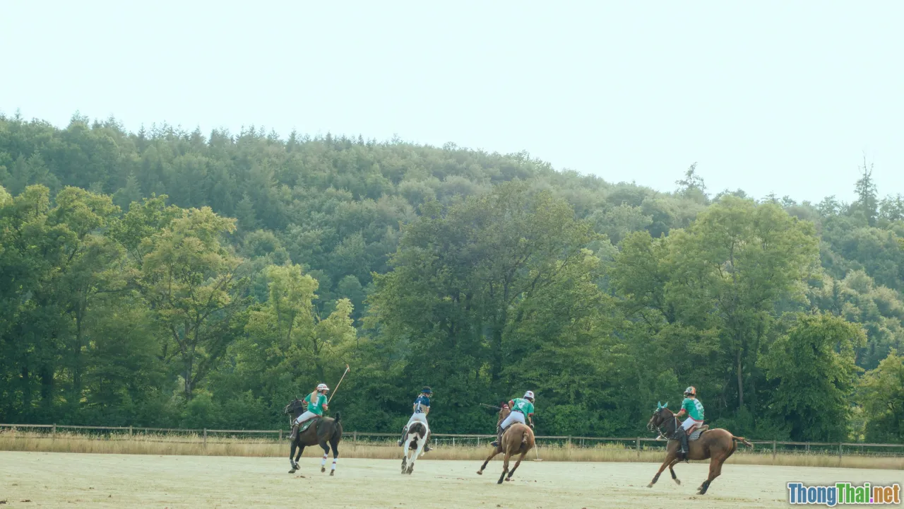 battle choreography, horse riding, banners, strategy