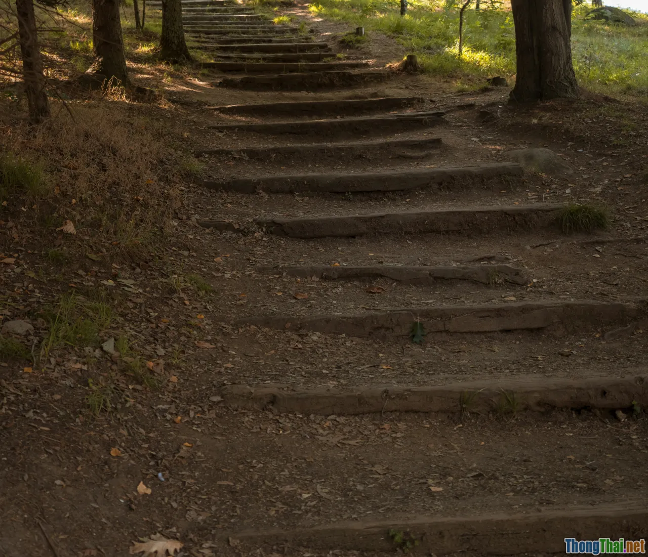 big and small goals, progress log