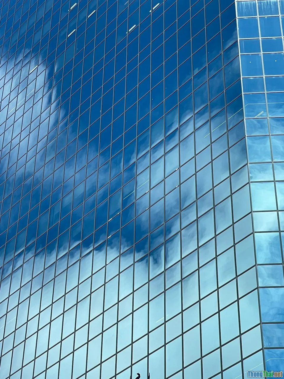 big data, cloud technology, website management