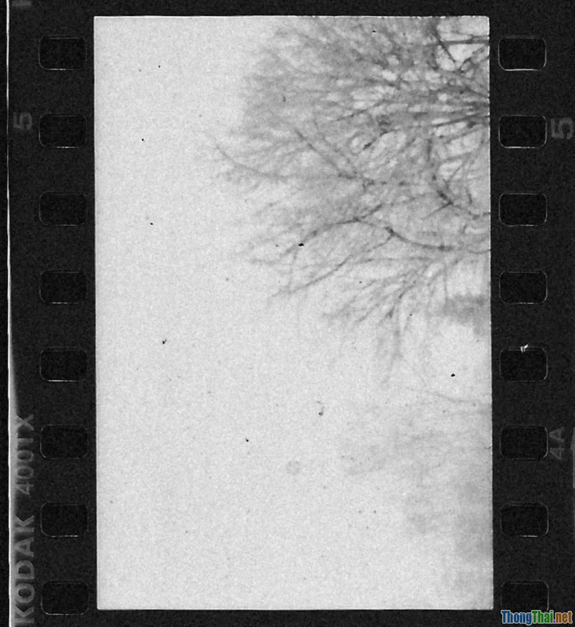 black white movie, old projector, contrast style