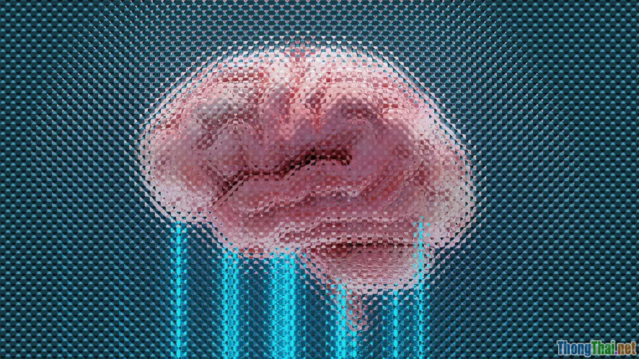 brain games, impulse control