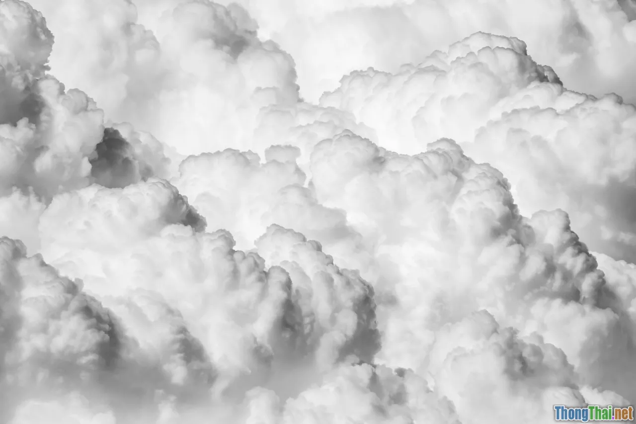 business vocabulary, word cloud