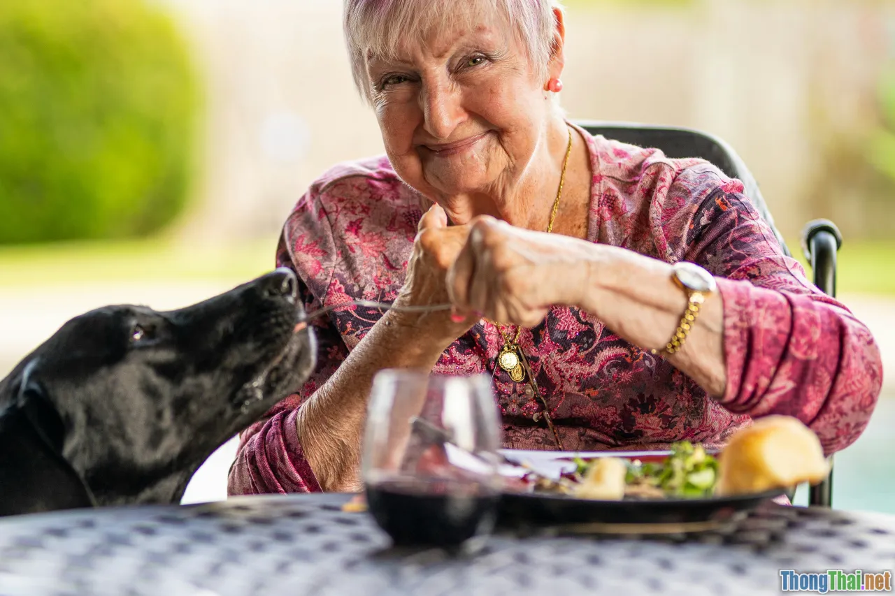 calcium food, elderly nutrition