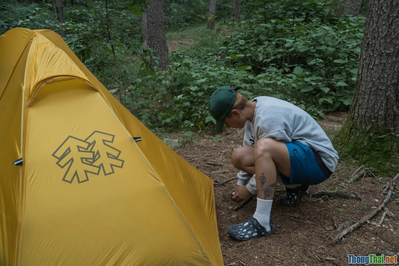 camping beginner, essential gear, nature safety