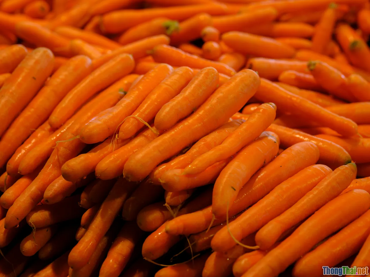 carrot, sweet potato, pumpkin, beta-carotene