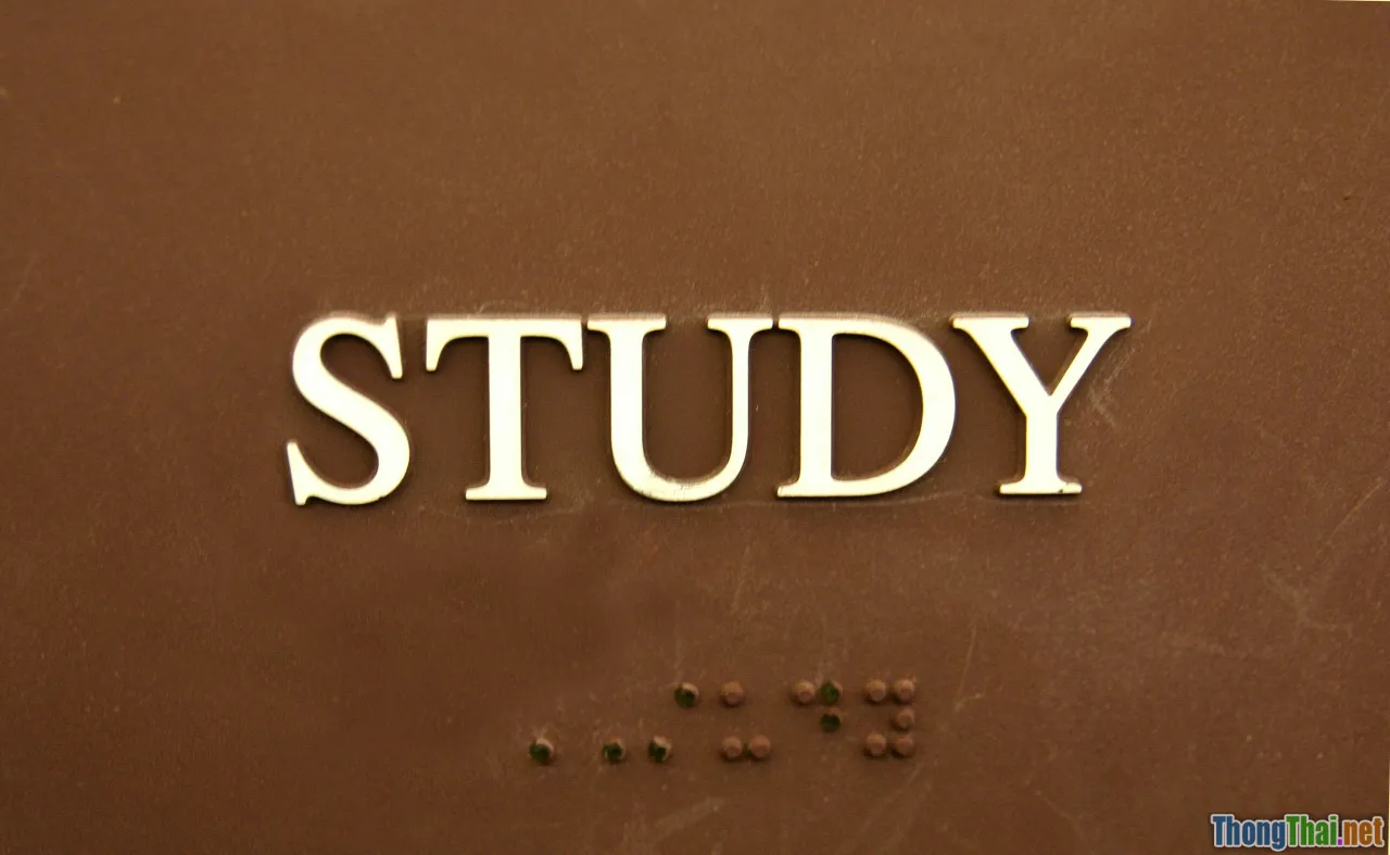 case study, business intelligence