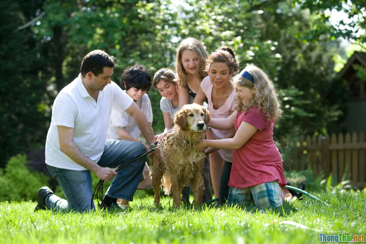 case study, scenario, family, pet care