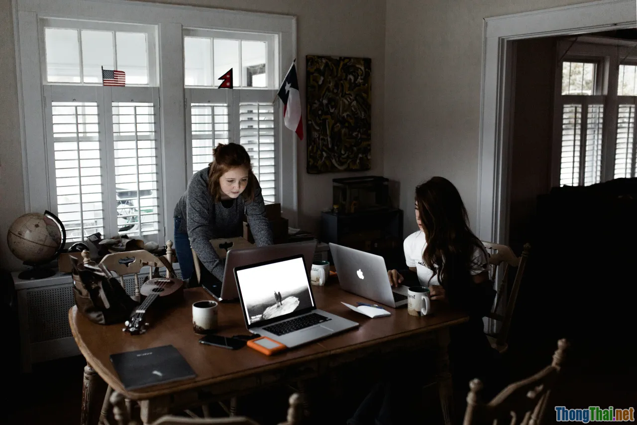 case study, scenarios, team work