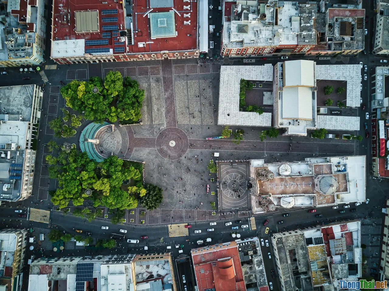 case study, urban farming, prototype, customer feedback