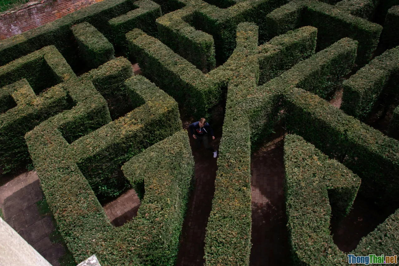 cat puzzle maze, diy cat labyrinth, escape game