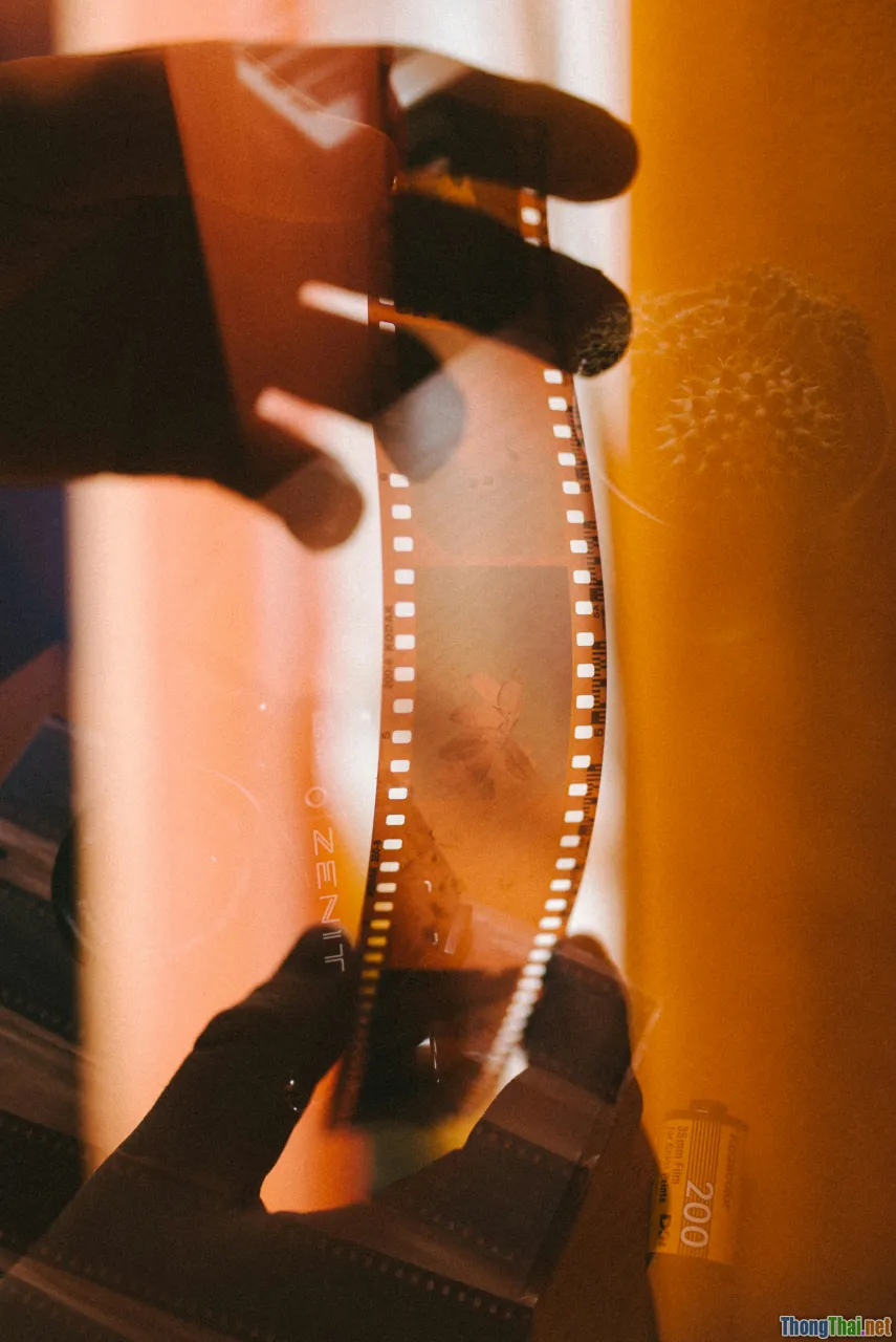 checklist, movie selection, magnifying glass