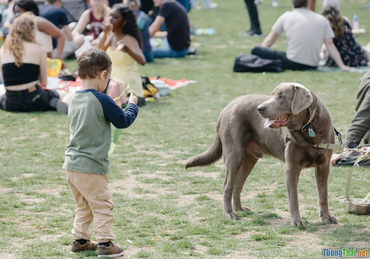 child dog bonding, happy kids dog, emotional development