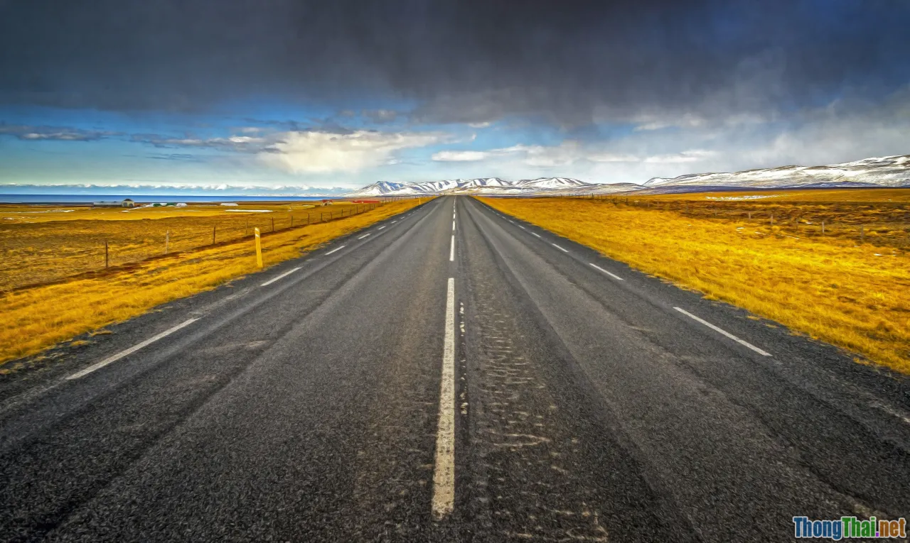 choice, fork road, affiliate journey