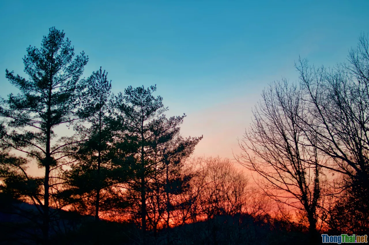 circadian rhythm, daylight, blue light, sunset