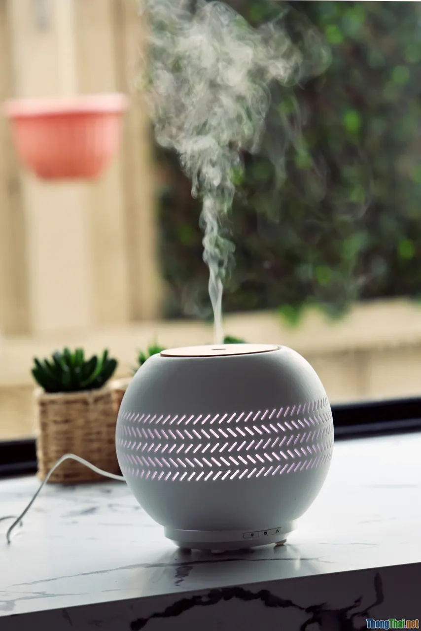 clean house, dust free, air purifier