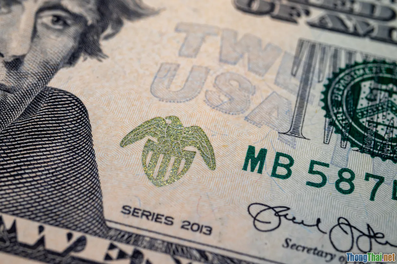 comparison, government bonds, cash management, yields