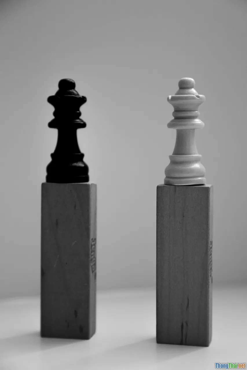 copycat, uniqueness, comparison