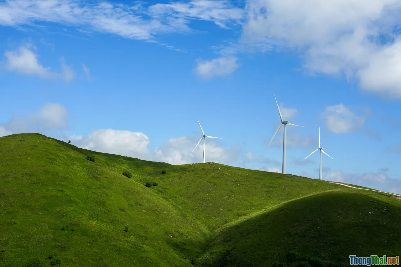 cost-saving, sustainability, energy