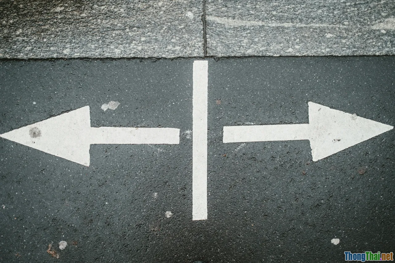 couple choice, decision making, split path