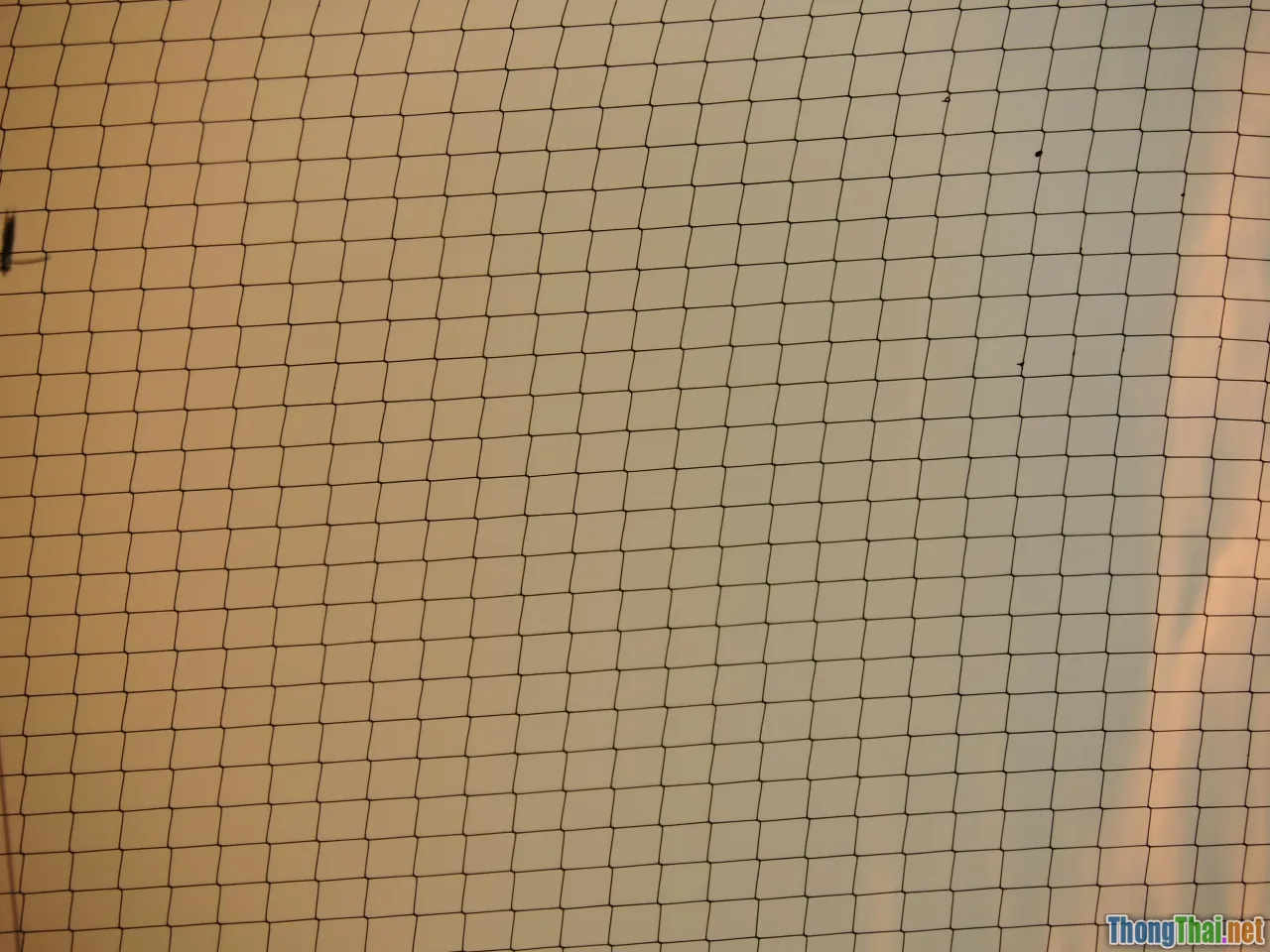 covered query, projection, index only