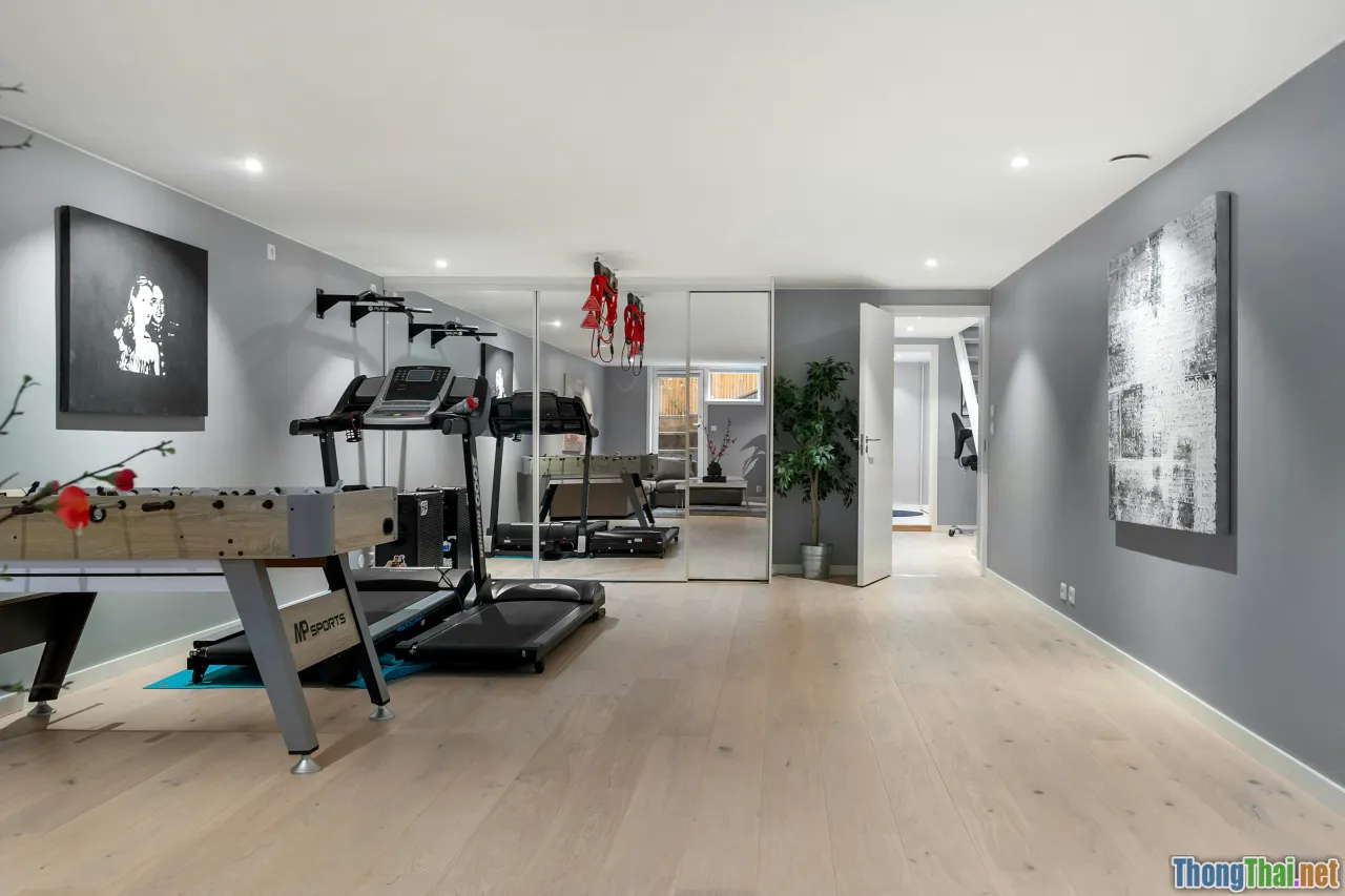 cozy home gym, exercise space