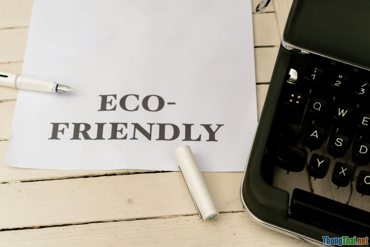 crowd management, authenticity, sustainability, policy