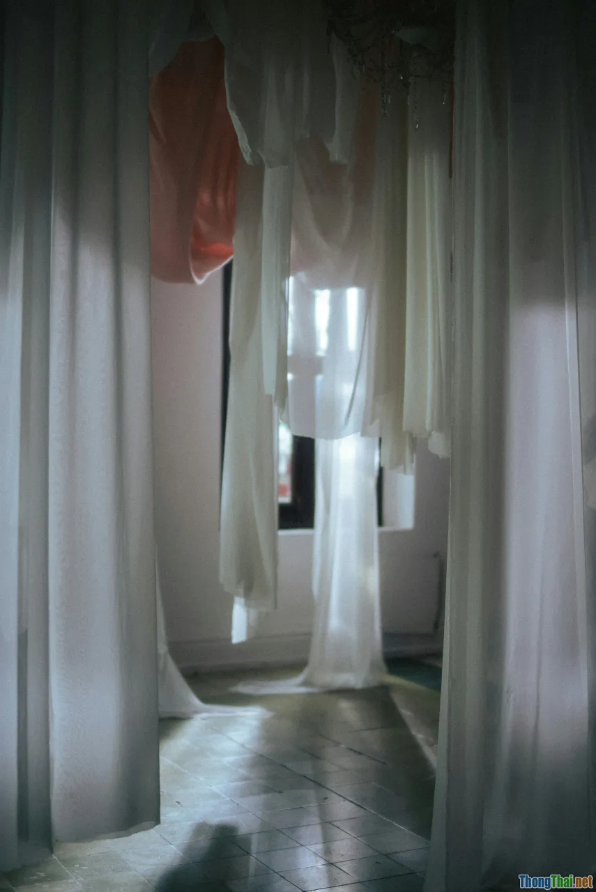 curtain, textile choice, modern room