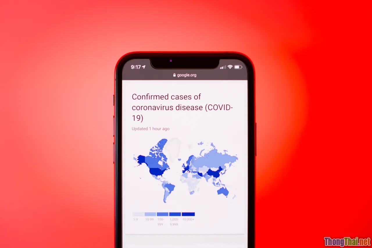 daily programming, streak tracker, mobile app