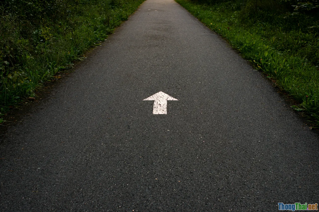 decision making, choose path, web developer