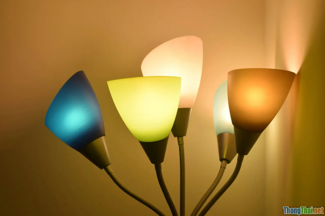 decorative lamp, pop trend, upcycled light