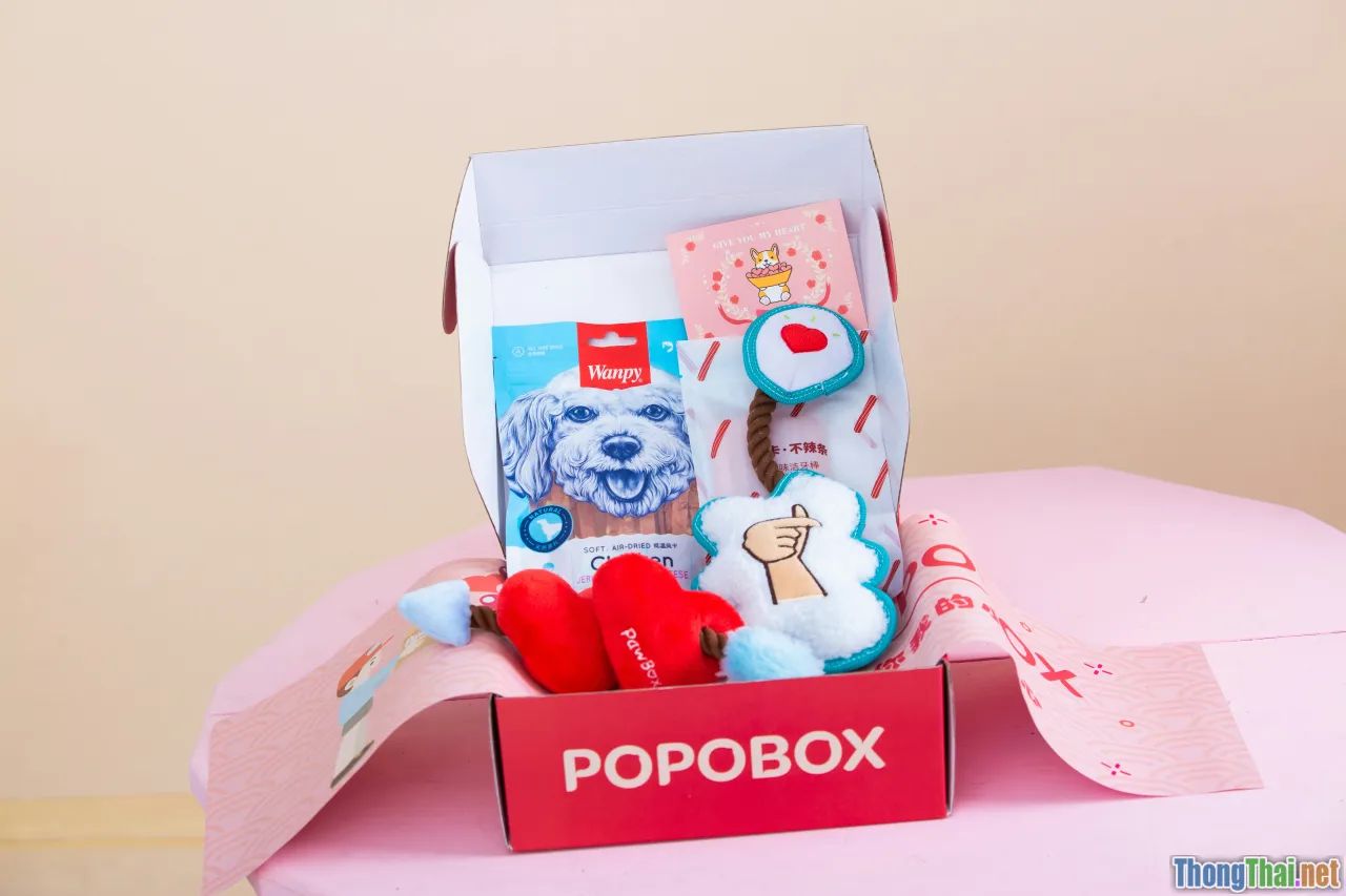 diy gift box, craft experience, unbox joy