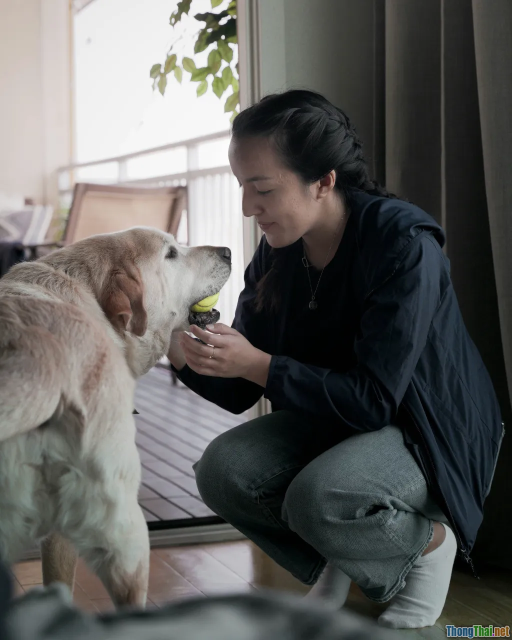 dog and owner together, apartment life with dog