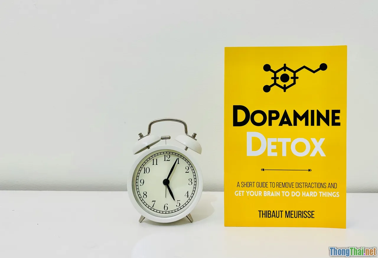 dopamine, treadmill, brain patterns