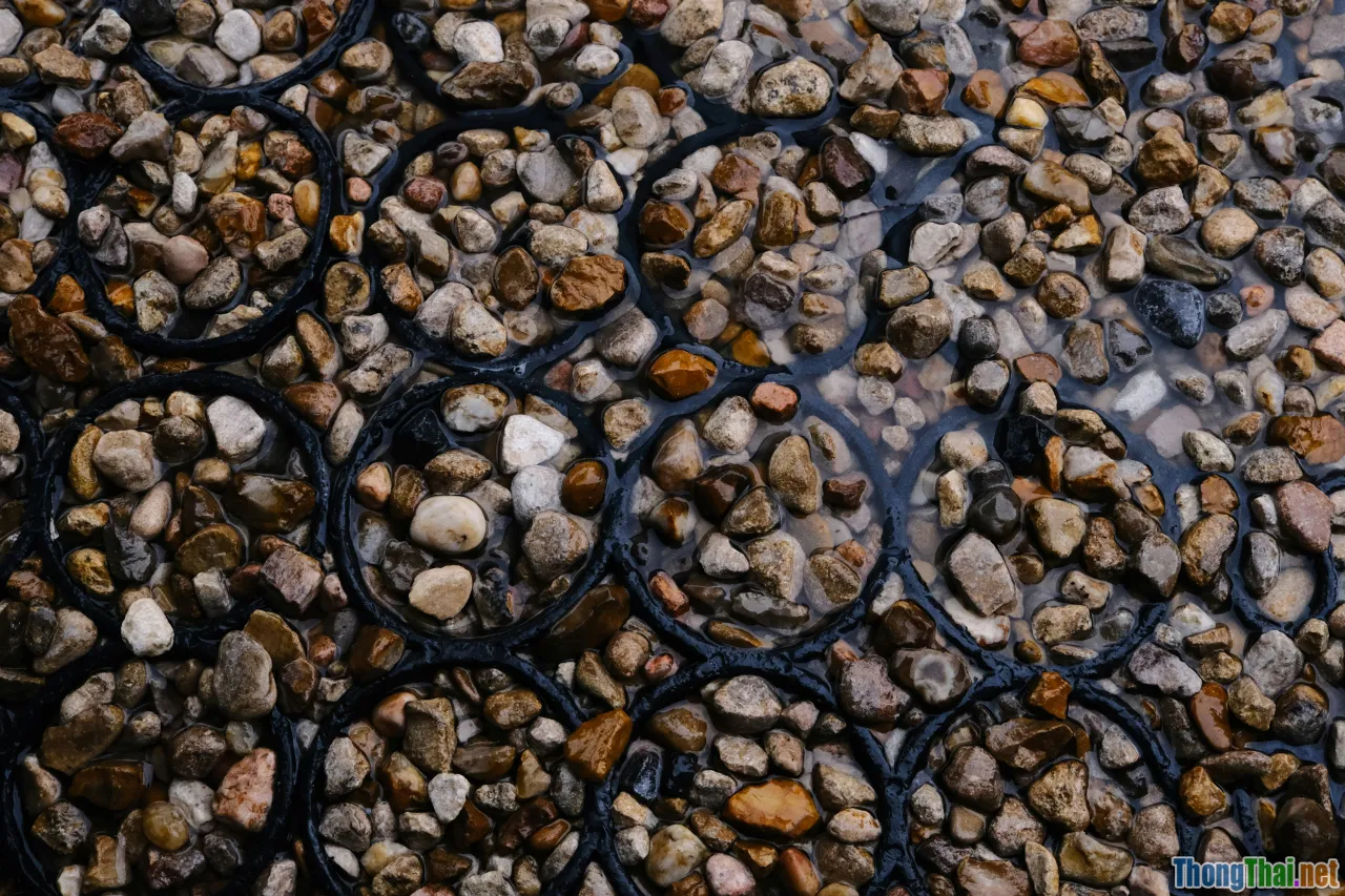drainage holes, saucer, pebbles