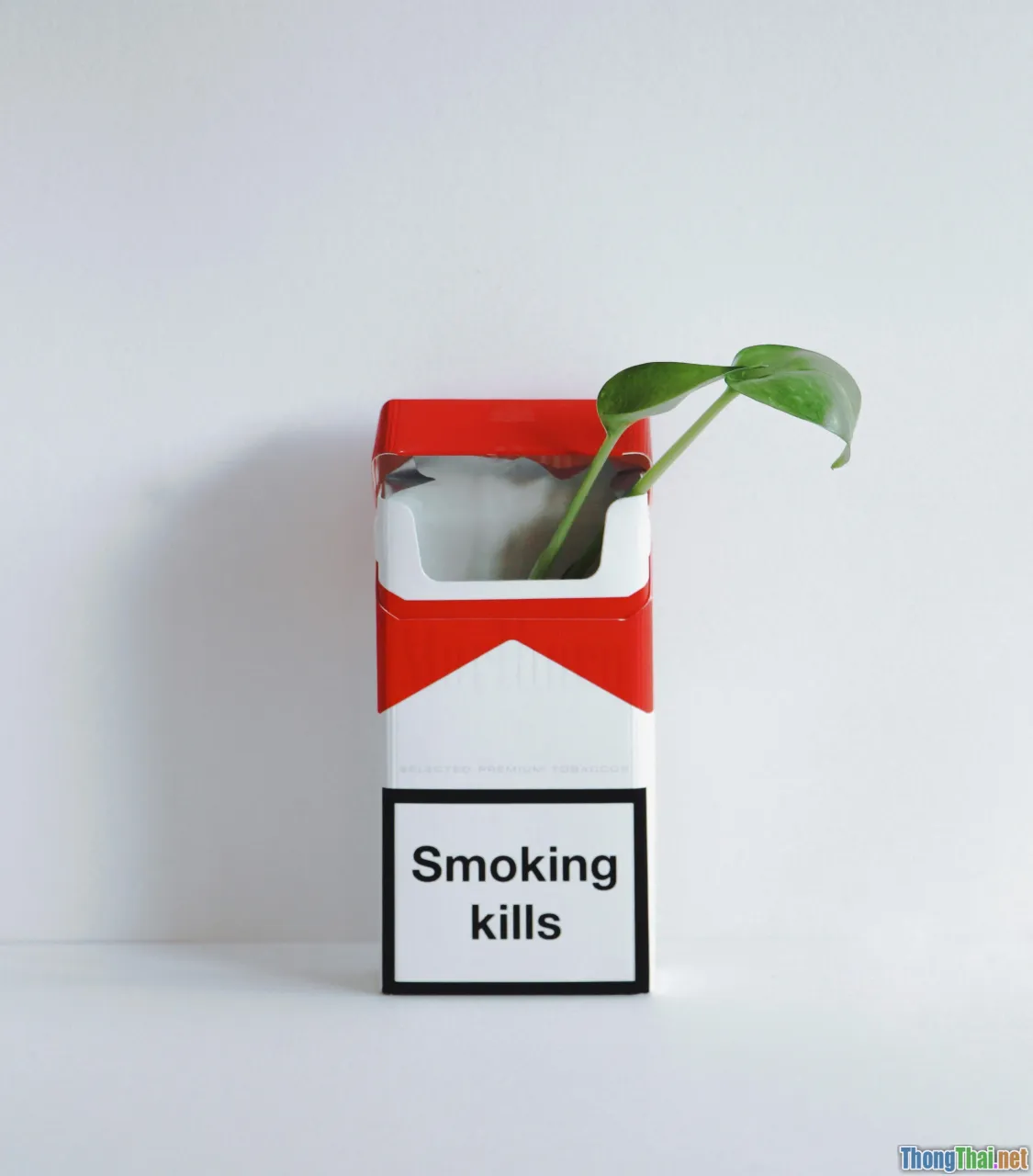 Sự thật về thuốc lá điện tử Có thực sự an toàn