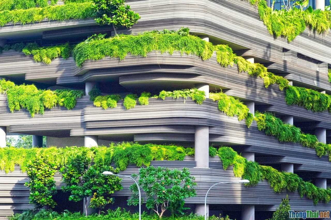 eco-friendly car, green energy, future city