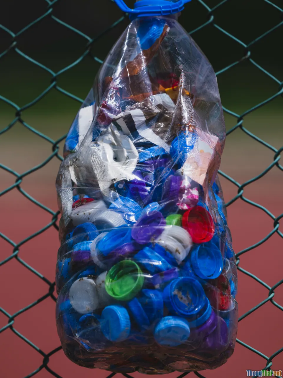 eco friendly, reuse bottles, green living