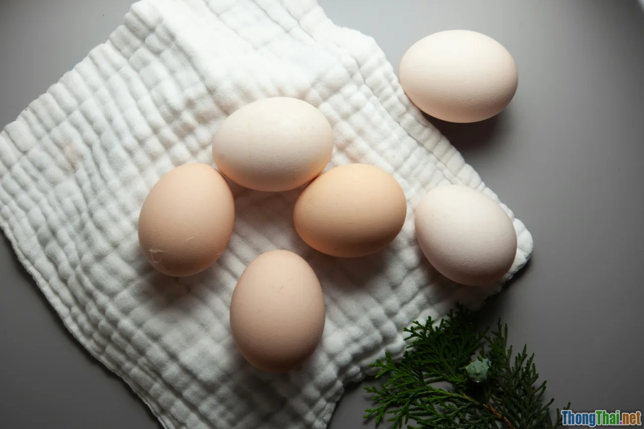 egg, protein, healthy hair