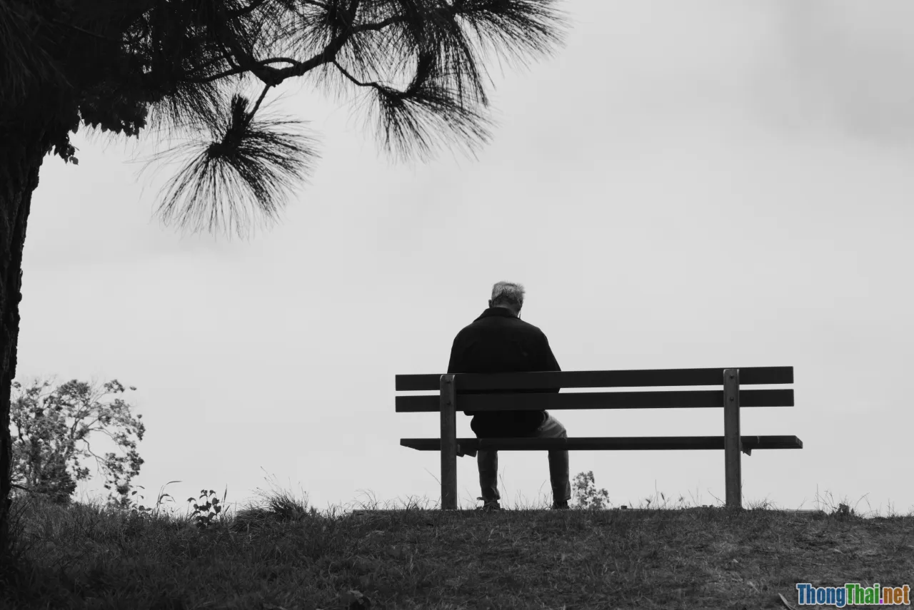 elderly loneliness, psychological factors