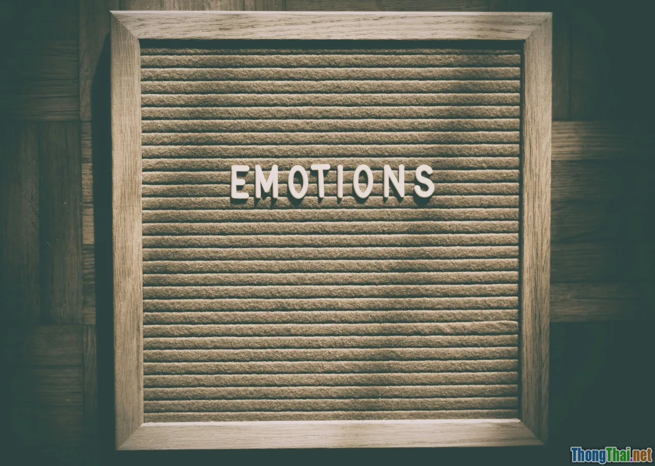 emotions, perspective choice
