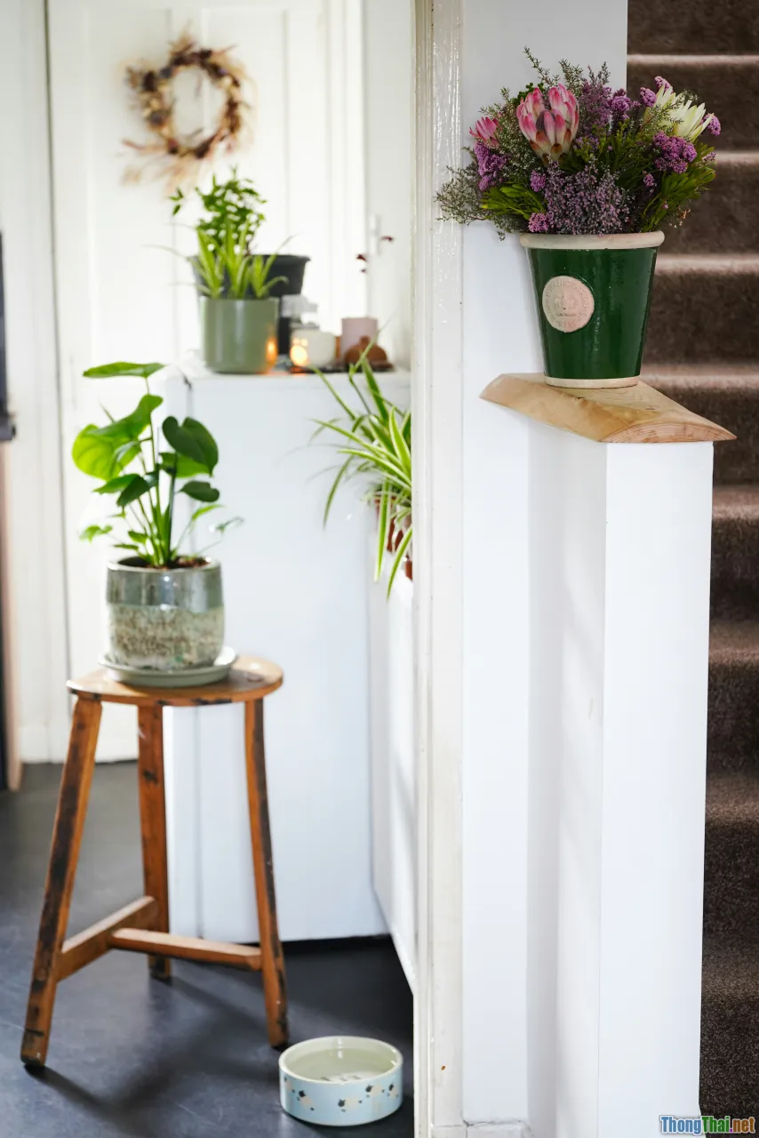 entryway, narrow space, tall planter
