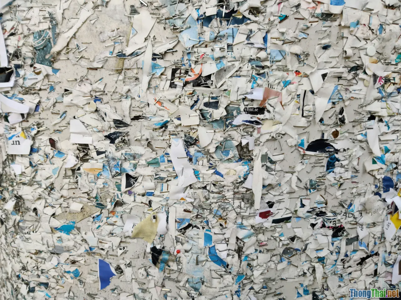 environmental comparison, paper vs plastic, eco awareness