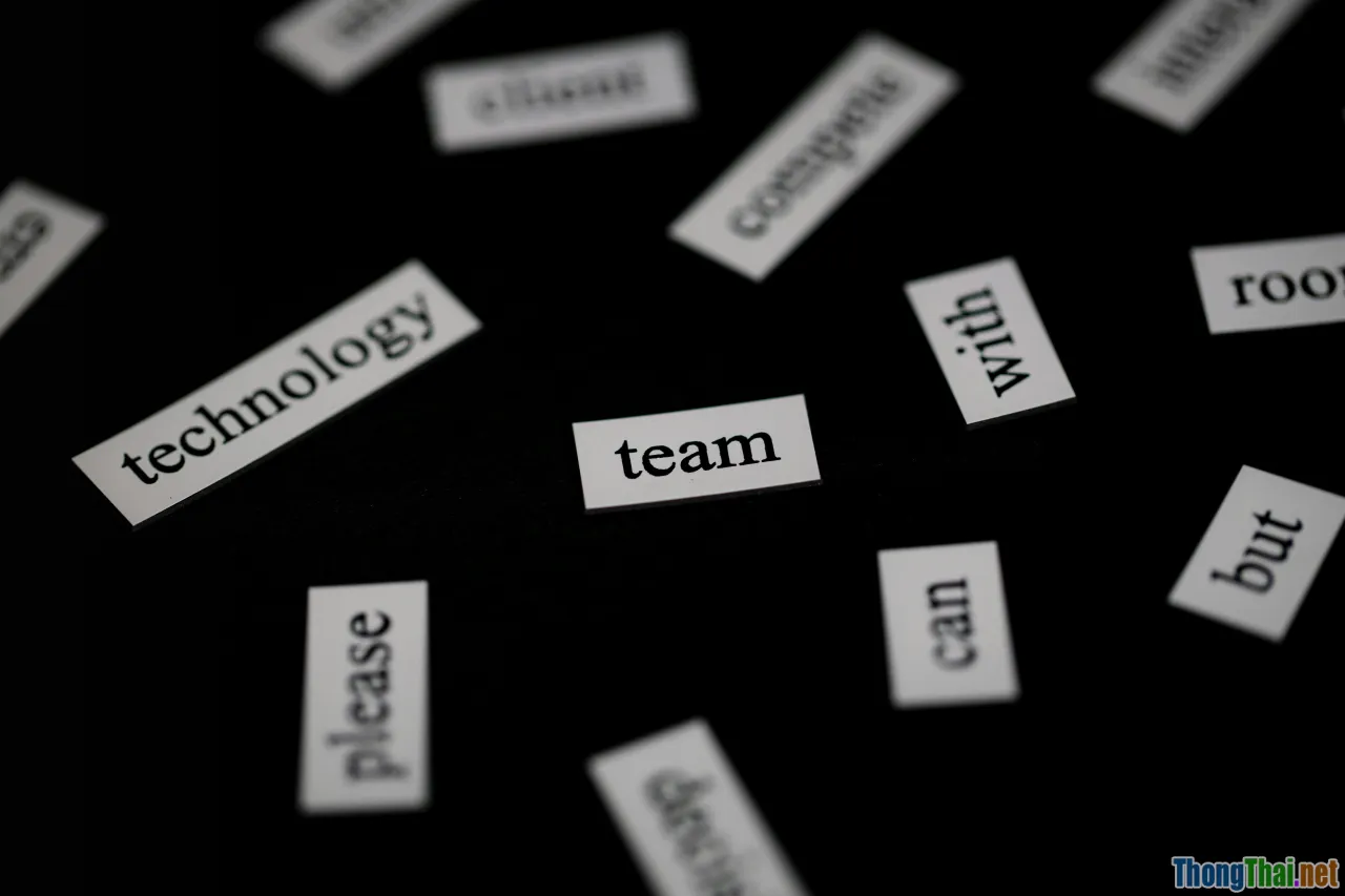 expert advice, programming teamwork, success stories